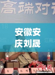安徽安庆刘晟，个人成就与影响力的探索之旅