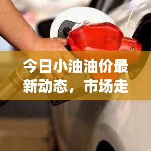 今日小油油价最新动态，市场走势与影响因素深度解析