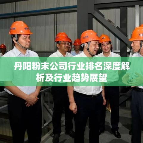 丹阳粉末公司行业排名深度解析及行业趋势展望