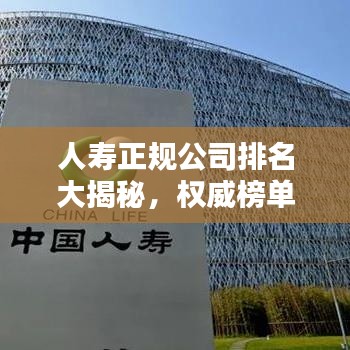 人寿正规公司排名大揭秘，权威榜单，不容错过！