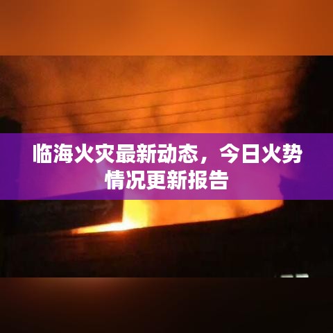 临海火灾最新动态，今日火势情况更新报告