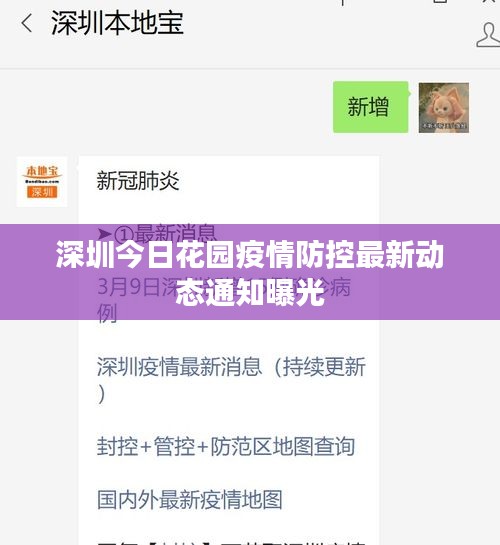 初告白 第2页