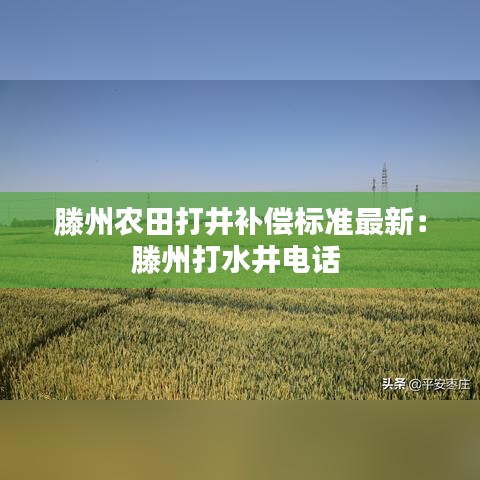 滕州农田打井补偿标准最新：滕州打水井电话 
