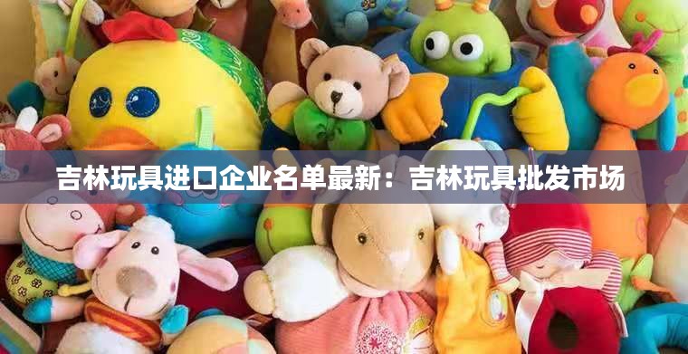 吉林玩具进口企业名单最新：吉林玩具批发市场 