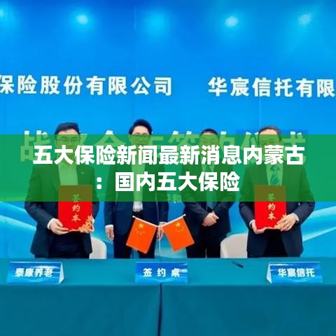 五大保险新闻最新消息内蒙古：国内五大保险 