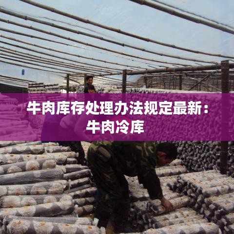 牛肉库存处理办法规定最新：牛肉冷库 