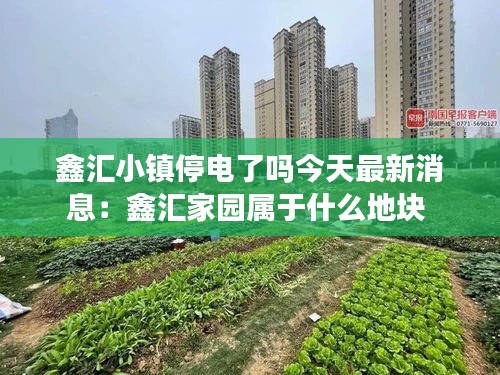 鑫汇小镇停电了吗今天最新消息：鑫汇家园属于什么地块 