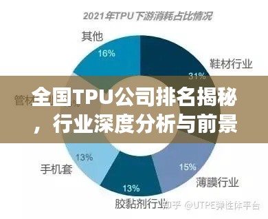 全国TPU公司排名揭秘，行业深度分析与前景展望
