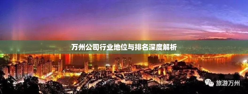 万州公司行业地位与排名深度解析