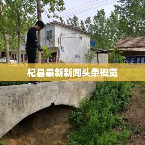 杞县最新新闻头条概览