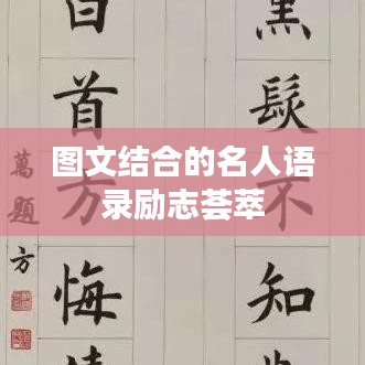 图文结合的名人语录励志荟萃