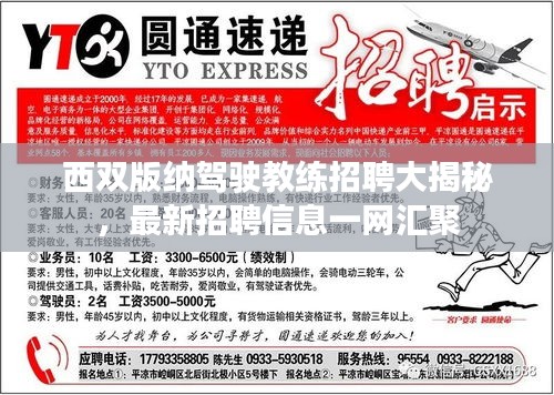 西双版纳驾驶教练招聘大揭秘，最新招聘信息一网汇聚