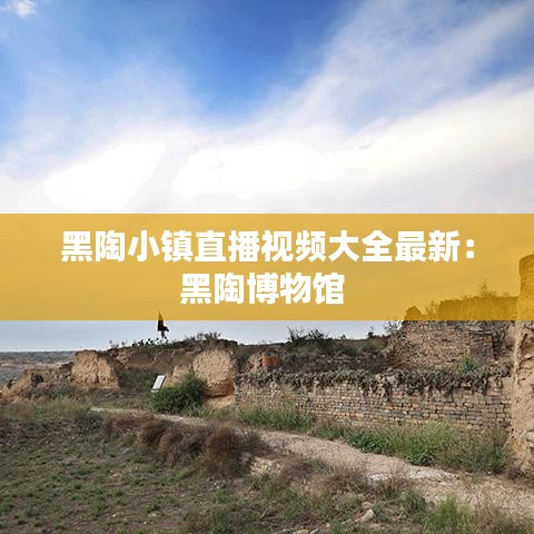 黑陶小镇直播视频大全最新：黑陶博物馆 