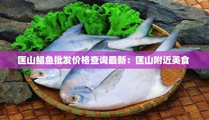 匡山鲳鱼批发价格查询最新：匡山附近美食 