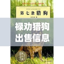 禄劝猎狗出售信息最新价格：禄劝哪里有 