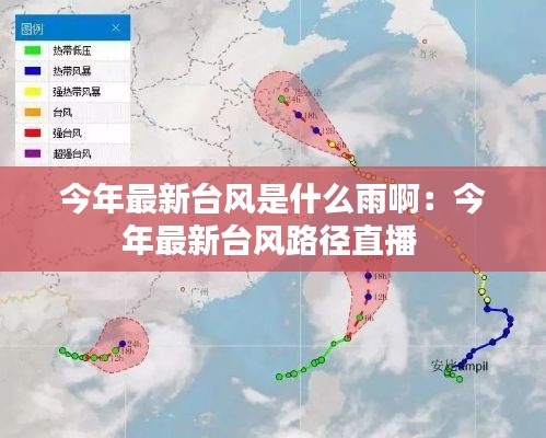 今年最新台风是什么雨啊：今年最新台风路径直播 