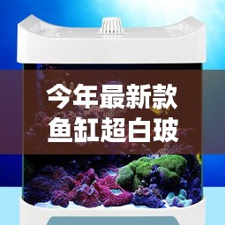 今年最新款鱼缸超白玻璃怎么样：鱼缸超白玻璃和普通玻璃怎么区别 