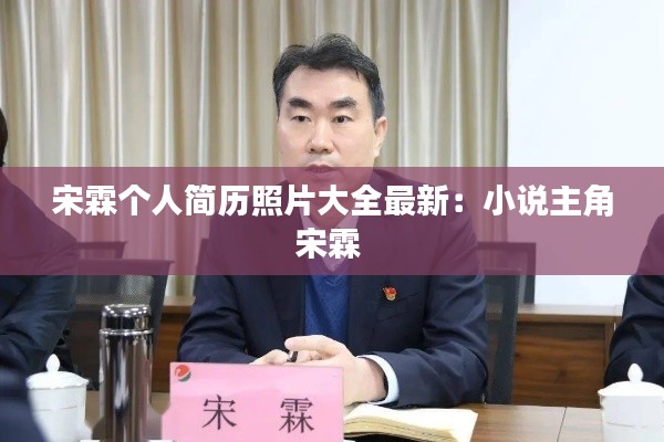 宋霖个人简历照片大全最新：小说主角宋霖 