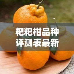 粑粑柑品种评测表最新图片：粑粑柑是什么橘子 
