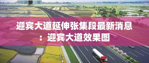 迎宾大道延伸张集段最新消息：迎宾大道效果图 