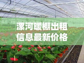 漯河暖棚出租信息最新价格：漯河哪里有花卉大棚 