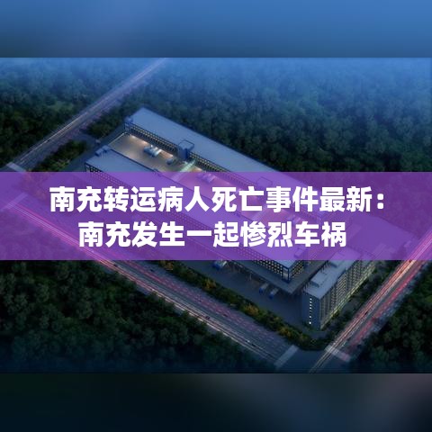 眉清目秀 第3页