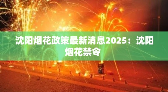 沈阳烟花政策最新消息2025：沈阳烟花禁令 