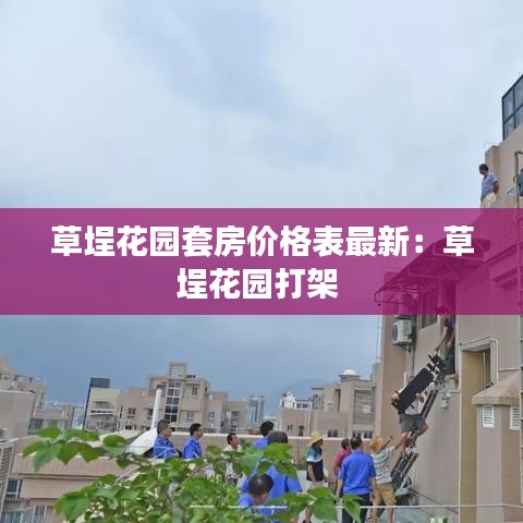 草埕花园套房价格表最新：草埕花园打架 