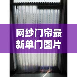 撺哄鸟乱 第3页