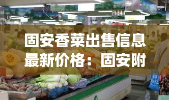 固安香菜出售信息最新价格：固安附近的蔬菜基地批发市场 