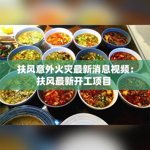 扶风意外火灾最新消息视频：扶风最新开工项目 