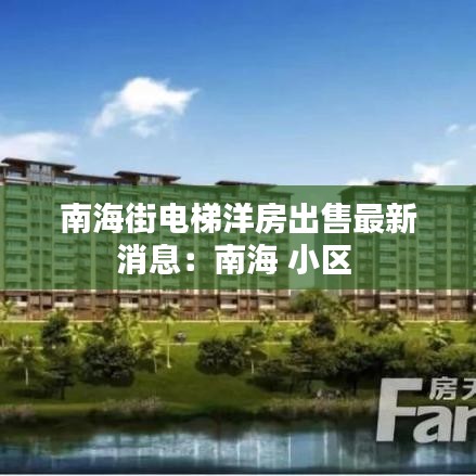 南海街电梯洋房出售最新消息：南海 小区 