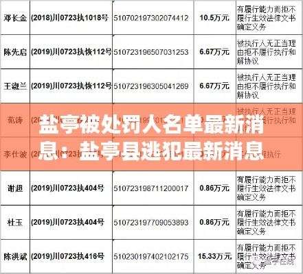 盐亭被处罚人名单最新消息：盐亭县逃犯最新消息 