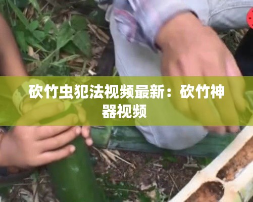 砍竹虫犯法视频最新：砍竹神器视频 