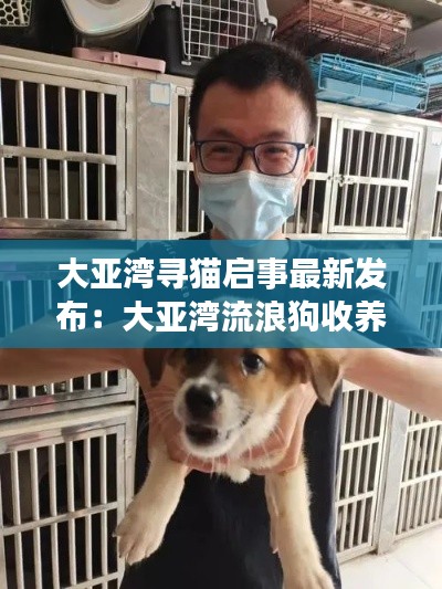 雍荣闲雅 第3页