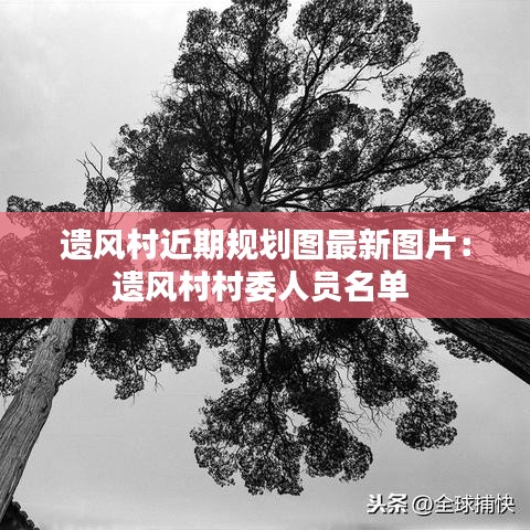 遗风村近期规划图最新图片：遗风村村委人员名单 