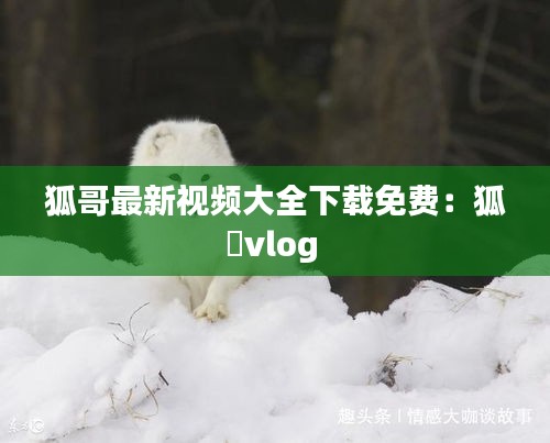 资料大全 第177页