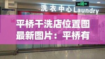 平桥干洗店位置图最新图片：平桥有什么厂 