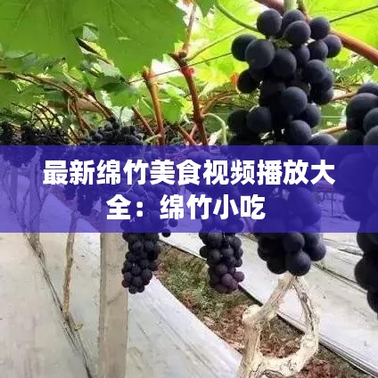 最新绵竹美食视频播放大全：绵竹小吃 