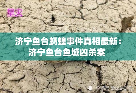 济宁鱼台蚂蝗事件真相最新：济宁鱼台鱼城凶杀案 