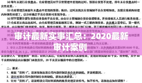 审计最新实事汇总：2020最新审计案例 