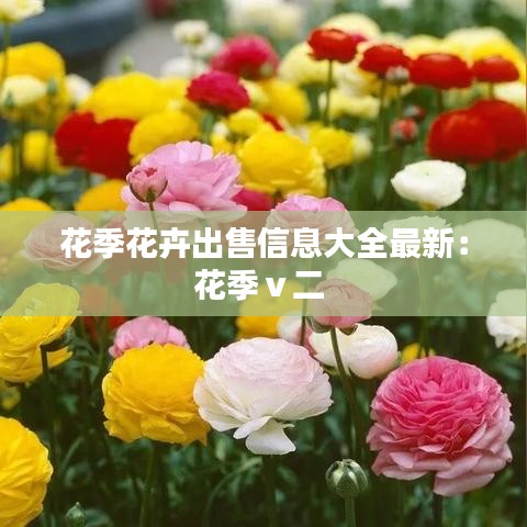 花季花卉出售信息大全最新：花季ⅴ二 