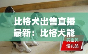 吉光片羽 第2页