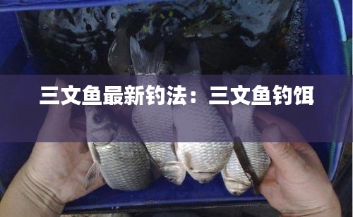 作舍道边 第2页