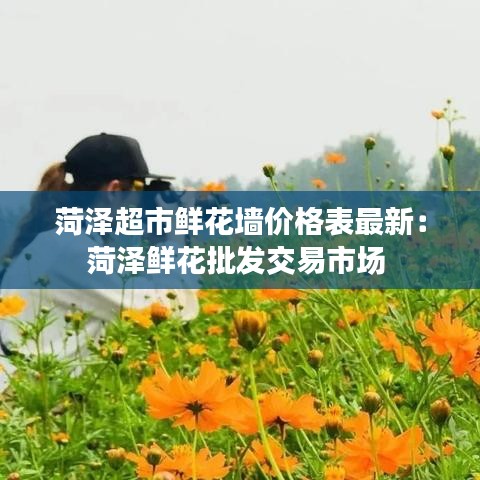 菏泽超市鲜花墙价格表最新：菏泽鲜花批发交易市场 