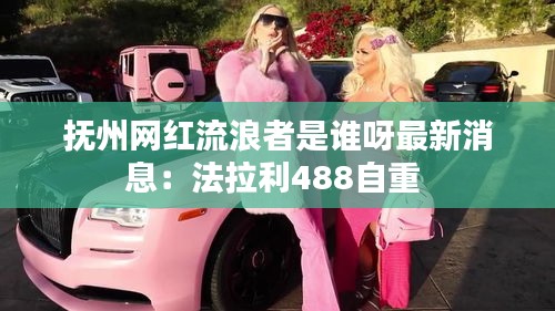 抚州网红流浪者是谁呀最新消息：法拉利488自重 