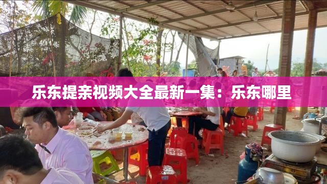 乐东提亲视频大全最新一集：乐东哪里 