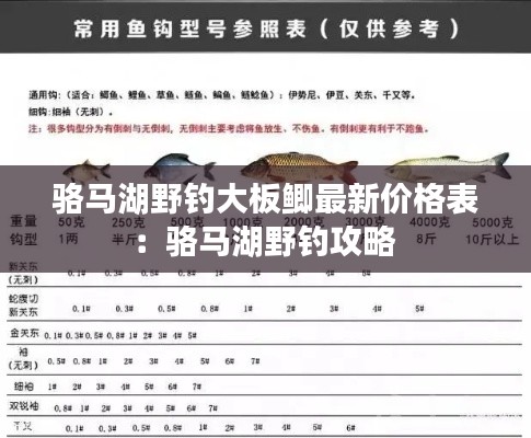 骆马湖野钓大板鲫最新价格表：骆马湖野钓攻略 