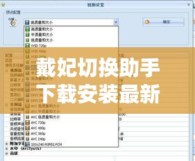 戴妃切换助手下载安装最新版：戴妃基带切换 