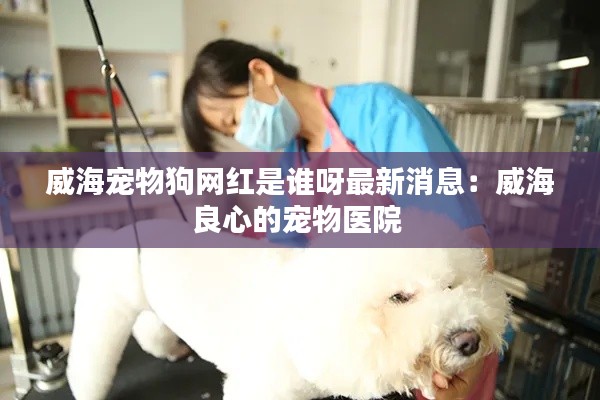 威海宠物狗网红是谁呀最新消息：威海良心的宠物医院 